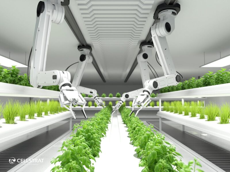 Transforming Agriculture